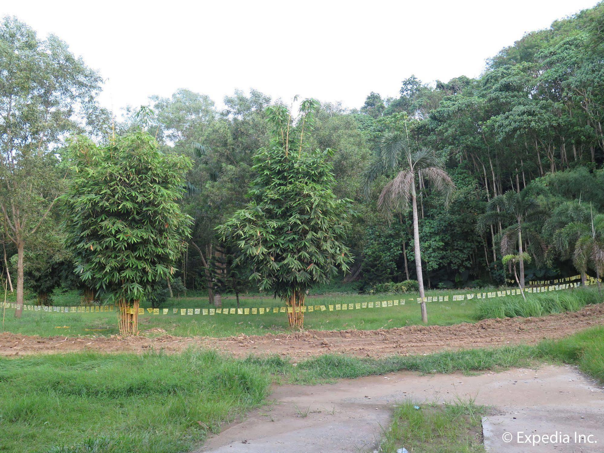 D'Leonor Inland Resort & Adventure Park Davao City Exterior foto